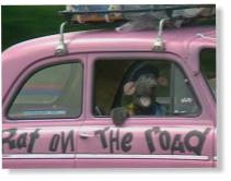Rat On The Road - The Rat Mobile